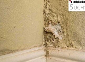 Ile kosztuje osuszanie ścian? Analiza preparatu Suchy Dom dostępnego na tanisklad.pl Ile kosztuje osuszanie ścian